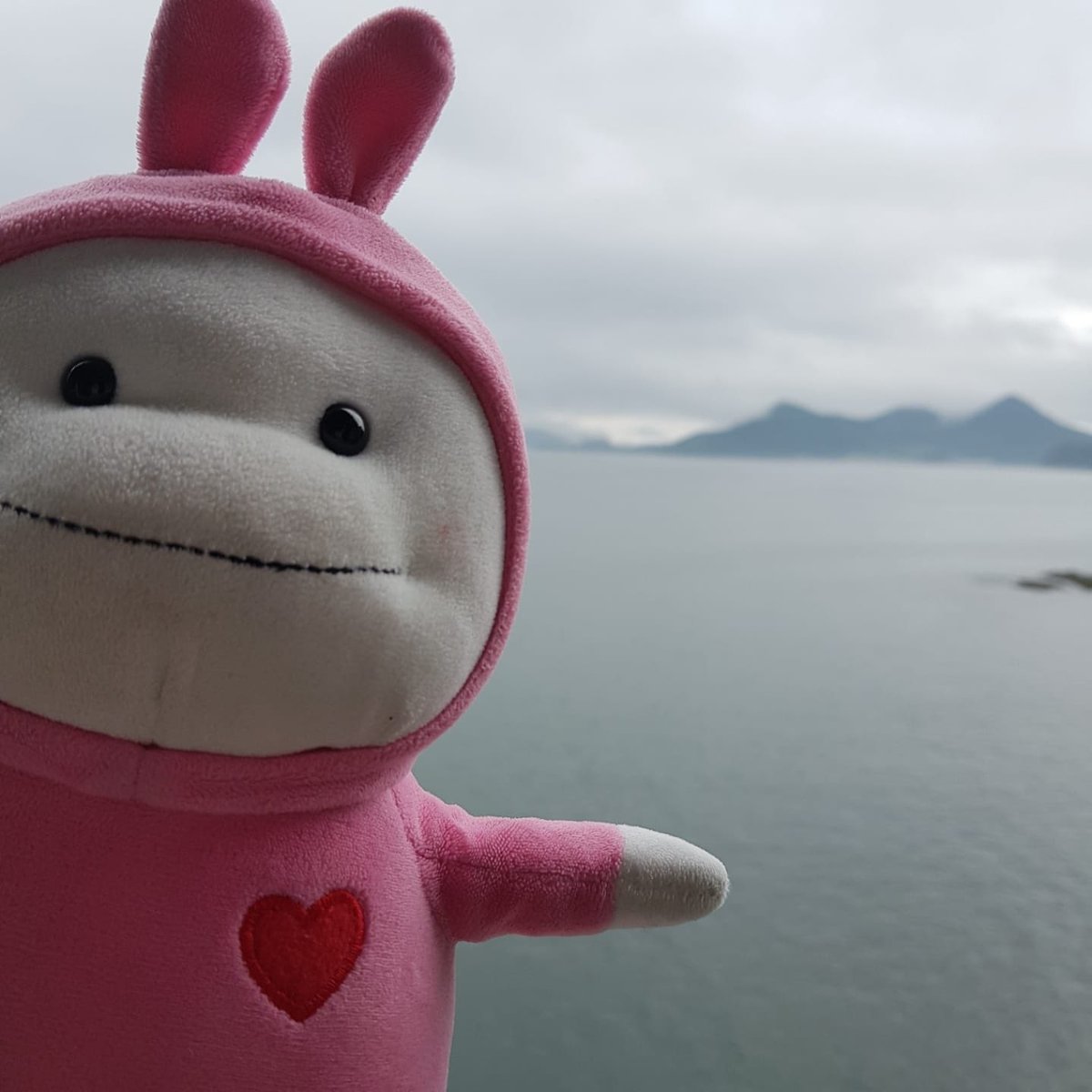 Emannfredd's tweet image. 🎿