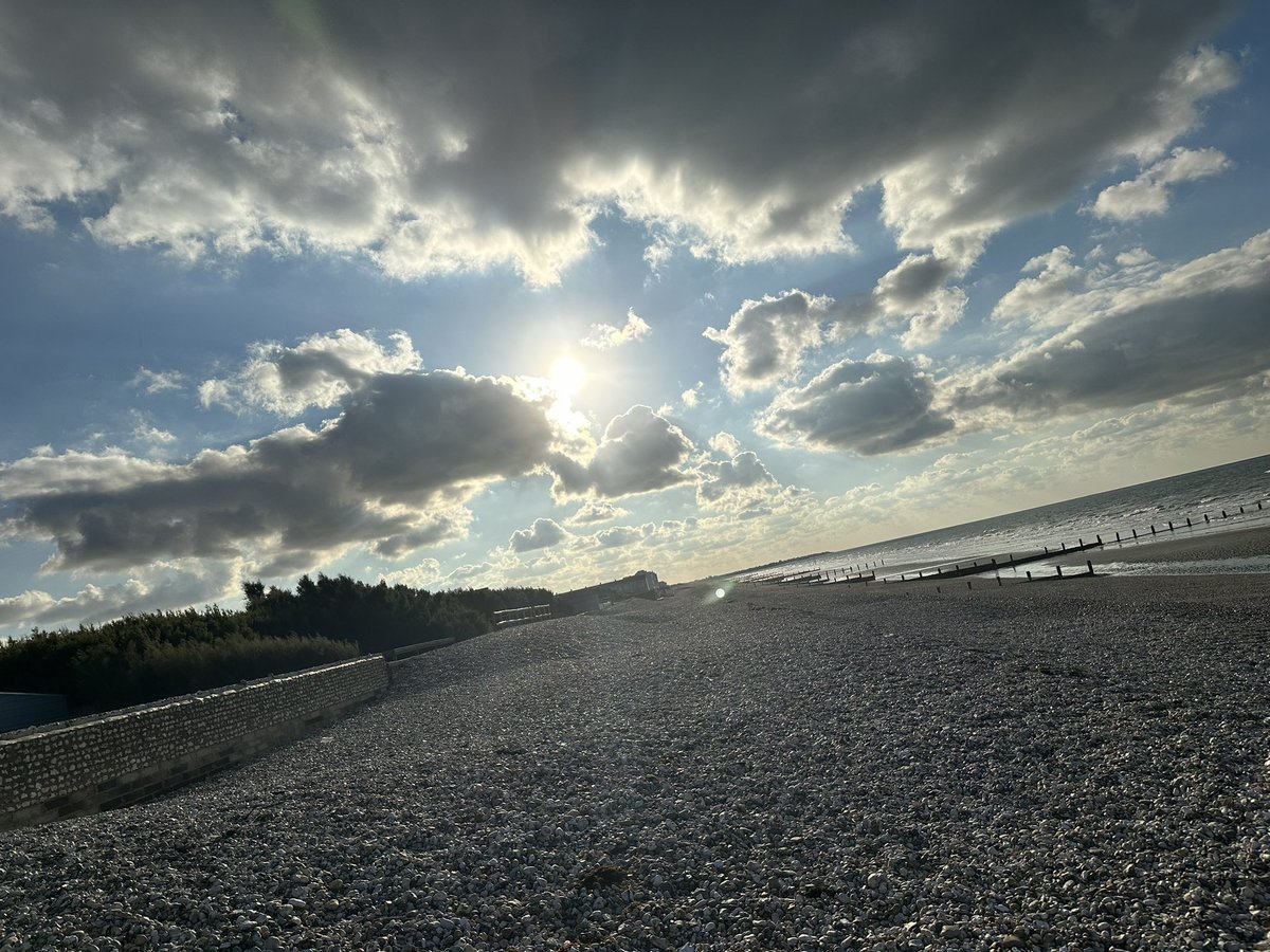 Bronwyn Middleton tweet media