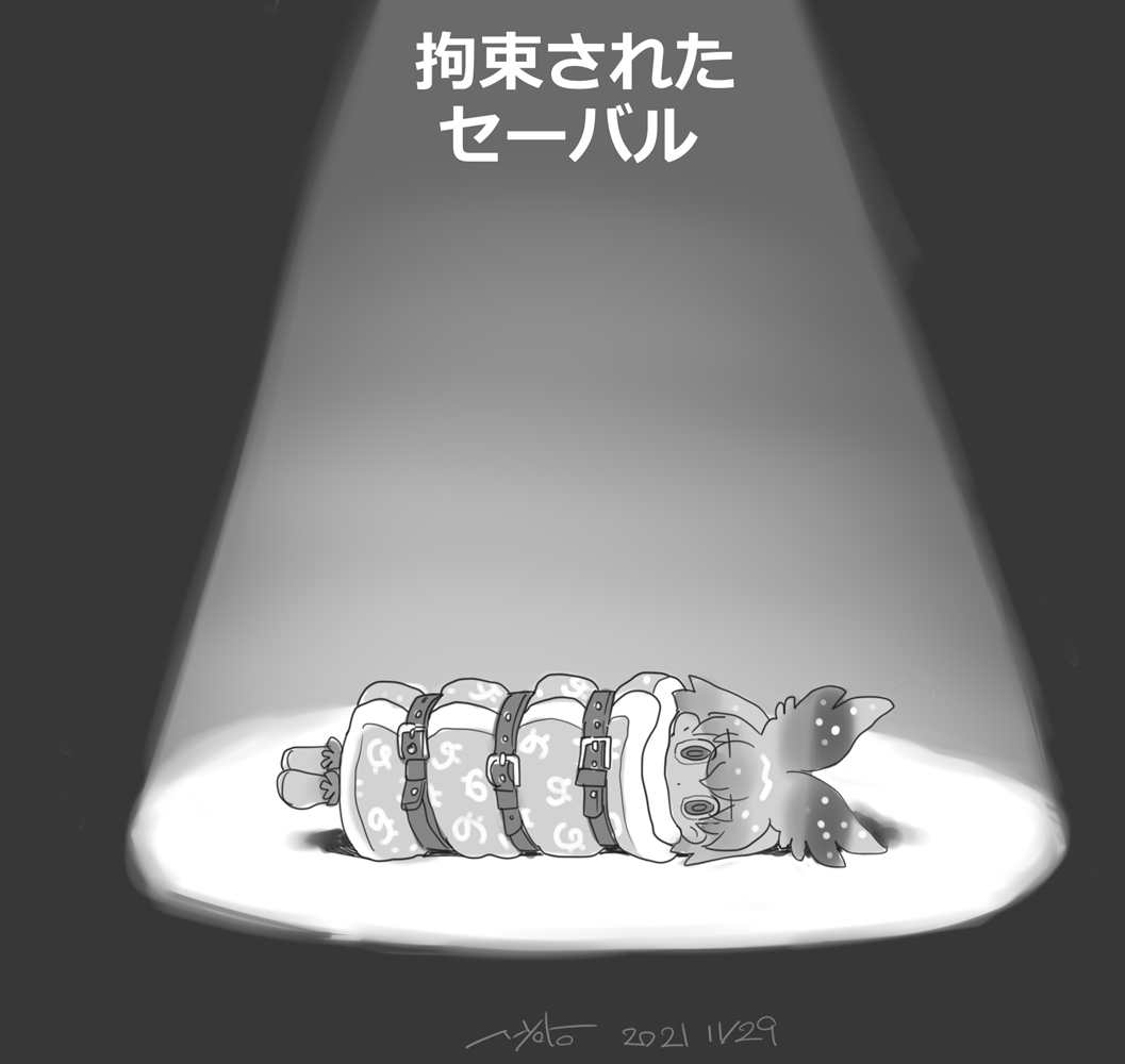 のろ～り フレチ44 SP-No.H-11 tweet media