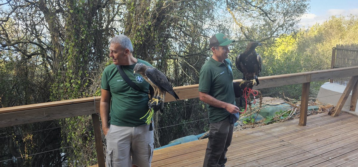 GBCNewsroom's tweet photo. Tweet of the Day.
@gonhsgib From bird ringing to birds of prey.. it's all happening on the Rock. #eurobirdwatch https://t.co/LgrIoPLxf7
