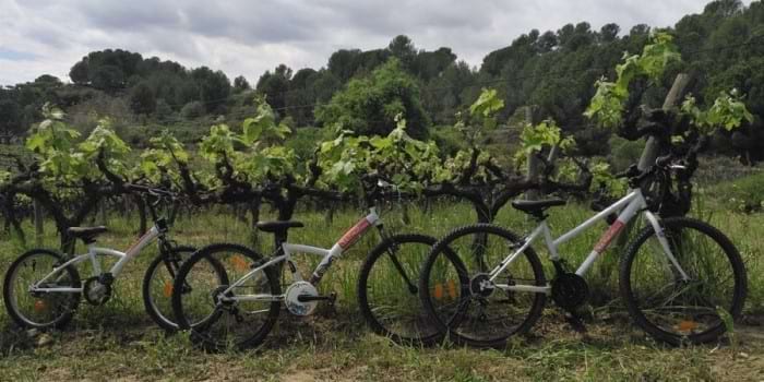 Barcelona és molt més (@bcnmoltmes) on Twitter photo Vols fer un agradable passeig en bicicleta entre vinyes i presseguers al Penedès?
No et perdis “Pedala i tasta”! 🚴
barcelonaesmoltmes.cat/-/pedala-i-tas…
#BCNmoltmés #CostaBarcelona <a href="/penedesturisme/">Penedès Turisme</a> <a href="/tsubirats/">Turisme de Subirats</a> Vols fer un agradable passeig en bicicleta entre vinyes i presseguers al Penedès?
No et perdis “Pedala i tasta”! 🚴
barcelonaesmoltmes.cat/-/pedala-i-tas…
#BCNmoltmés #CostaBarcelona <a href="/penedesturisme/">Penedès Turisme</a> <a href="/tsubirats/">Turisme de Subirats</a>