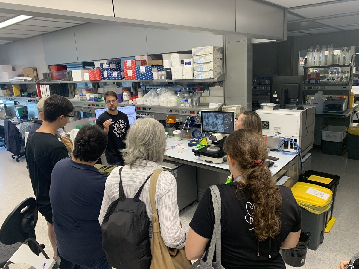 Join the #OpenPRBB lab tour in English! The Dayton Lab will show you how organoids help cancer research. 

Dive into the world of organoids with virtual reality