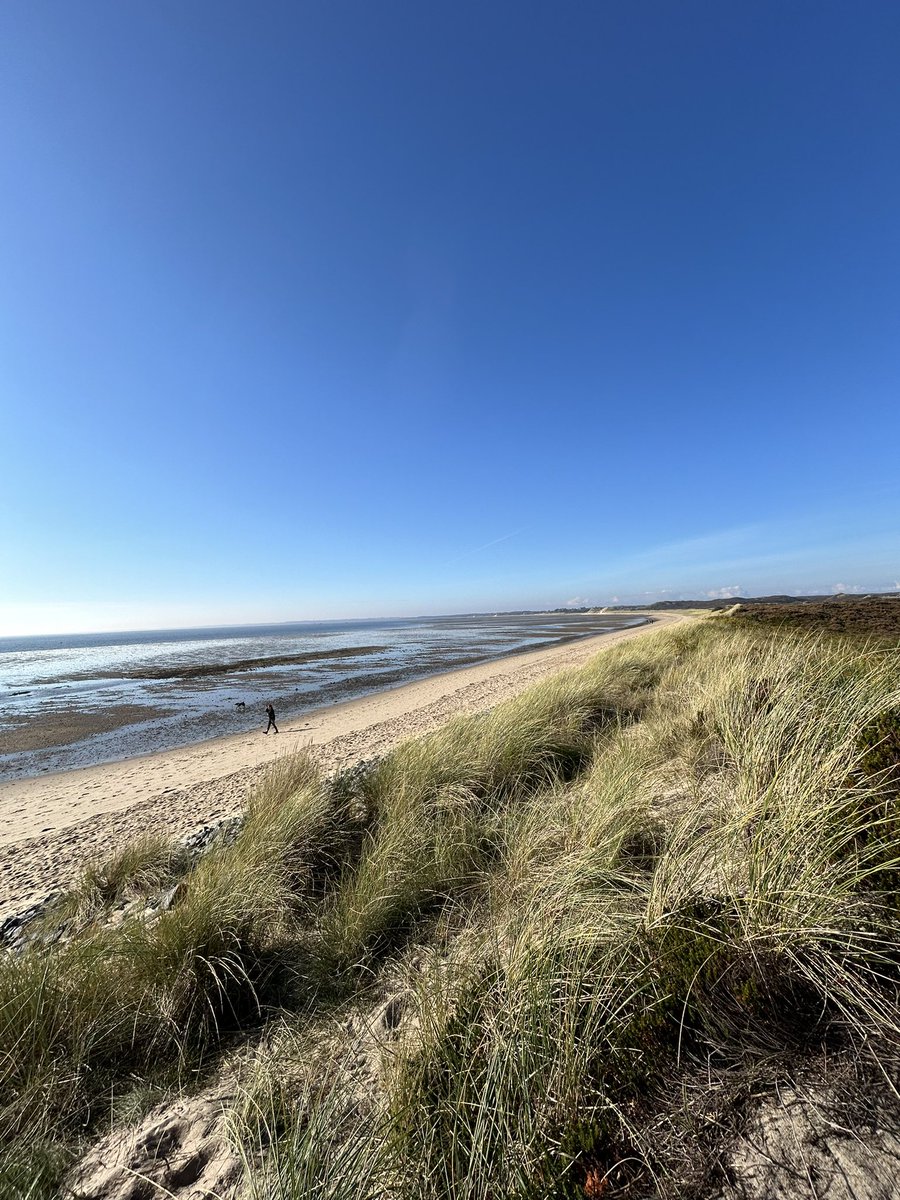 Thom van Lieshout tweet media