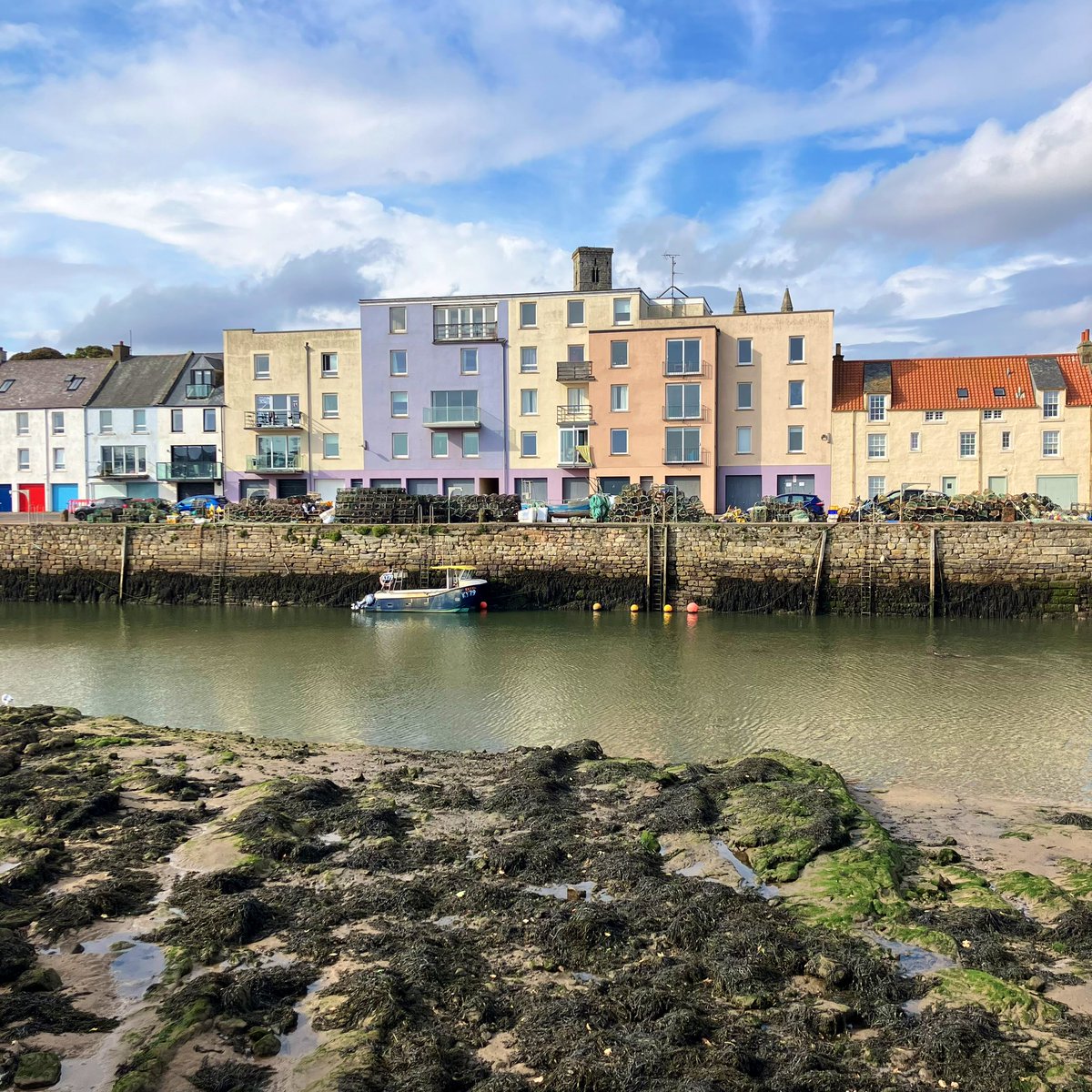 a briny breeze blows
unlocking priceless perfume 
seaweed sandy toes 

#haiku #GeoHaiku #harbours #seaside #seaweed #coast #StAndrews