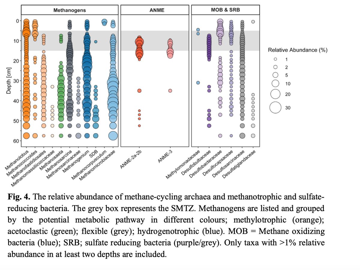 Mike Jetten🟥 (@msmjetten) on Twitter photo A methane #microbiology @RIBESresearch & #MARIX production by <a href="/annajwallenius/">Anna Wallenius</a> et al: A ubiquitous and diverse methanogenic community drives microbial #methane cycling in eutrophic coastal sediments doi.org/10.1101/2024.1…
supported by <a href="/NESSCresearch/">NESSC</a> & <a href="/ERC_Research/">European Research Council (ERC)</a> A methane #microbiology @RIBESresearch & #MARIX production by <a href="/annajwallenius/">Anna Wallenius</a> et al: A ubiquitous and diverse methanogenic community drives microbial #methane cycling in eutrophic coastal sediments doi.org/10.1101/2024.1…
supported by <a href="/NESSCresearch/">NESSC</a> & <a href="/ERC_Research/">European Research Council (ERC)</a>