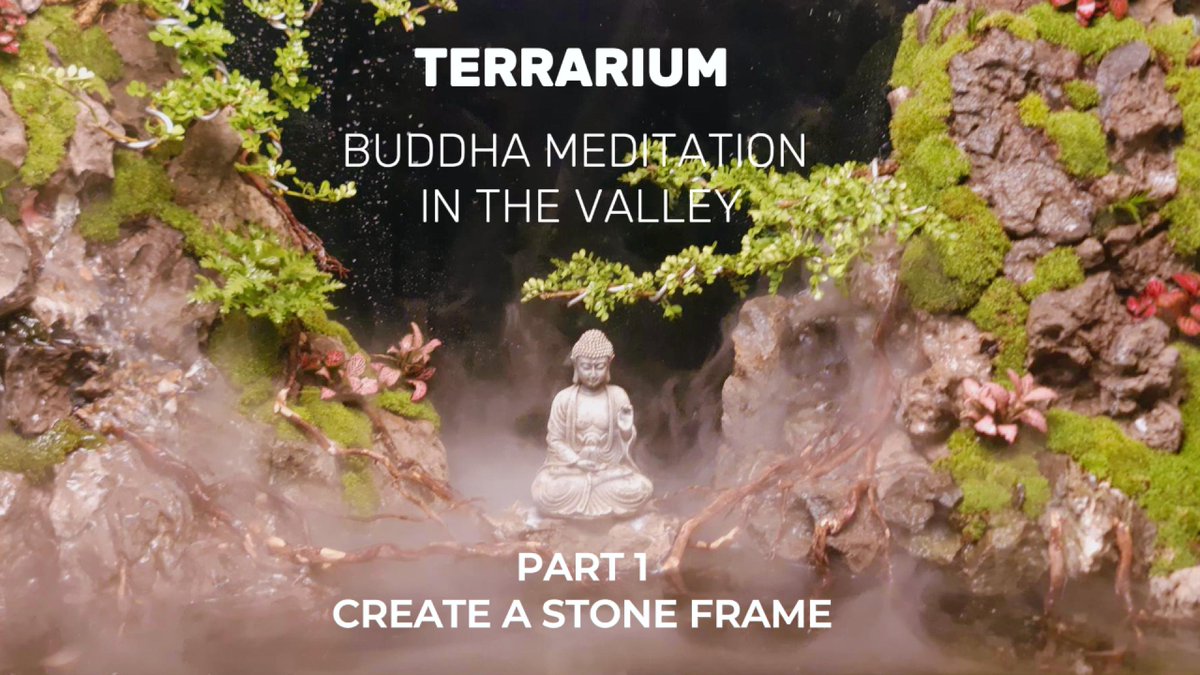 ali_lakkis's tweet photo. TERRARIUM - paludarium | BUDDHA MEDITATION IN THE VALLEY - Part 1 https://t.co/cFmzin10Cb qua @YouTube https://t.co/MMGD413uIH