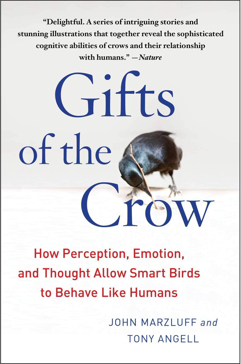 patrickhum49601's tweet photo. [PDF] Gifts of the Crow: How Perception, Emotion, and Thought Allow Smart Birds to | Copy LINK ; https://t.co/QdwoRjuMFG https://t.co/hPmkdHwW2N