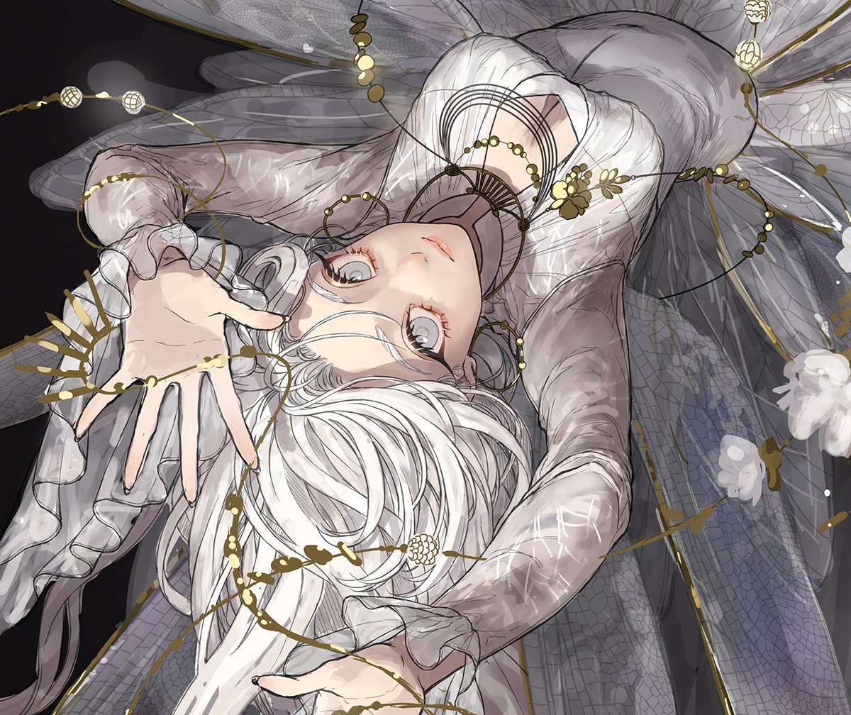 翅を綺麗に描きたい