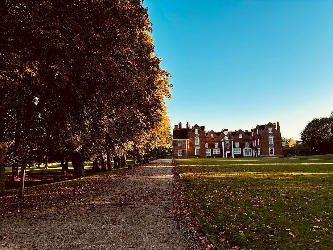 The ’swich tweet media