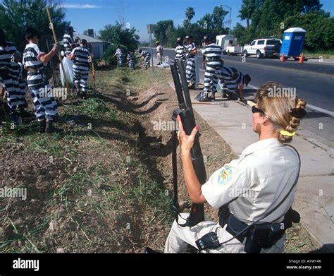 REALITYNURFACE's tweet photo. @clownworld HE NEEDS A GOOD MANY YEARS, ON A TEXAS CHAIN GANG! https://t.co/GsBDLWS2wF