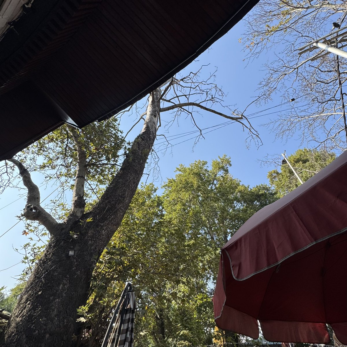 faizdijoo's tweet photo. Guess the place and i will host you for a Lunch
#LunchThings