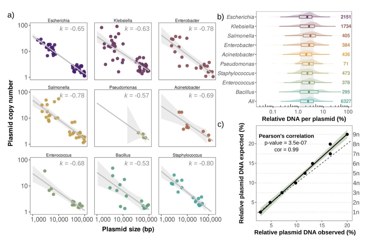 We discovered a universal scaling law linking copy number and plasmid size, which can be used to predict the PCN of your favorite plasmid! 6/7