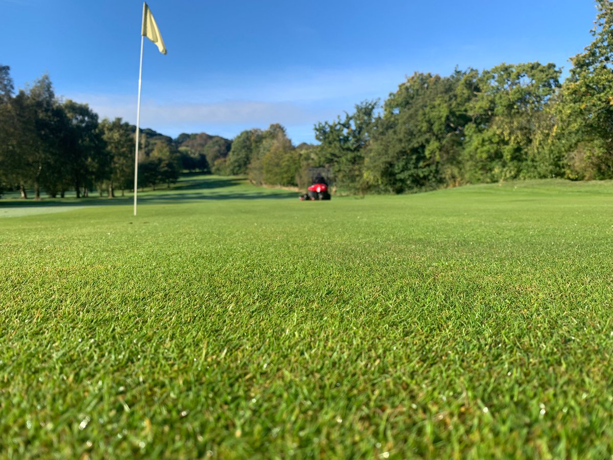 LickeyHillsGolf's tweet photo. Beautiful Saturday 😍 https://t.co/fWj5AfIUyF