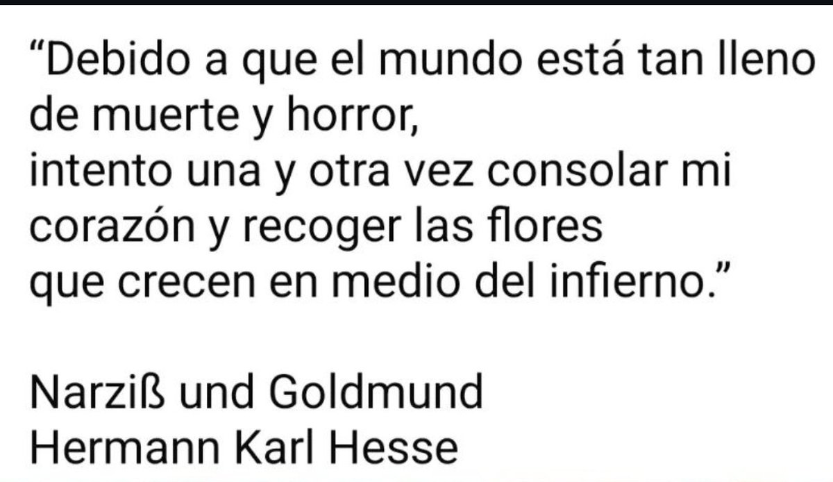 OmarConverti's tweet image. 