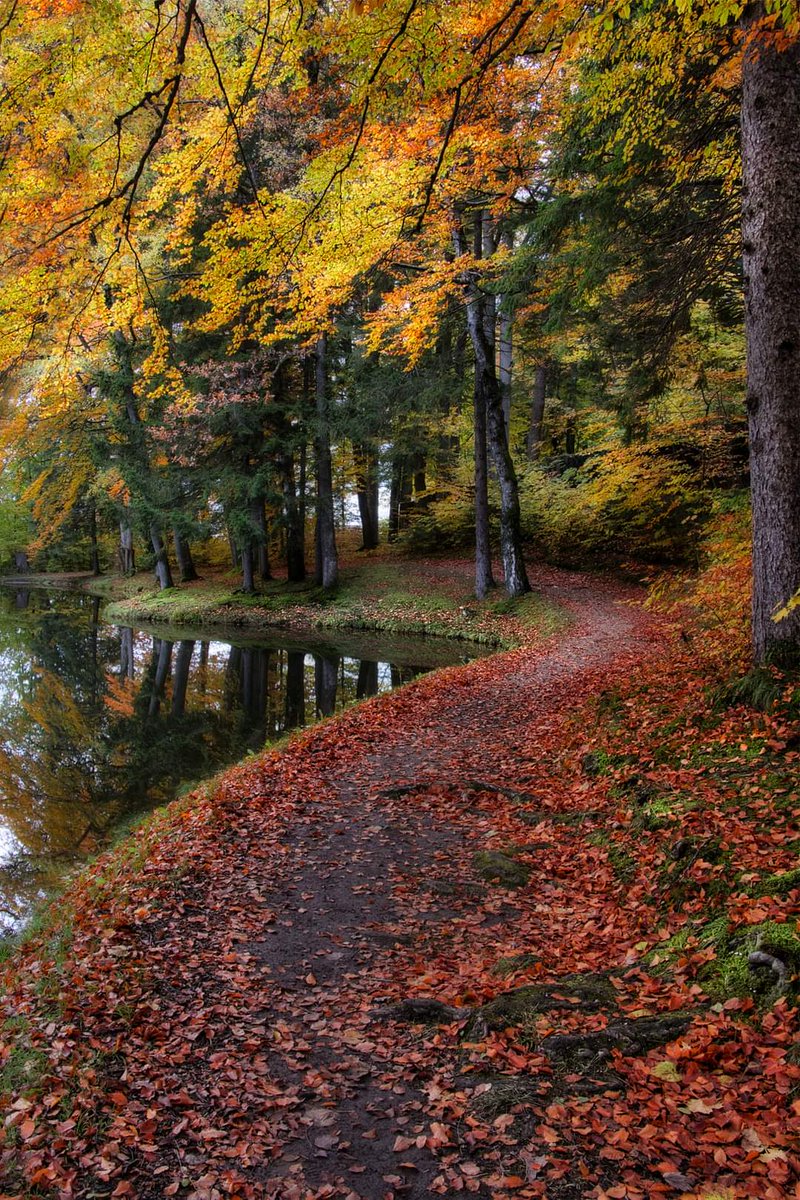 "Within you, there is a stillness and a sanctuary to which you can retreat at anytime and be yourself."
H.Hesse "Siddhartha"