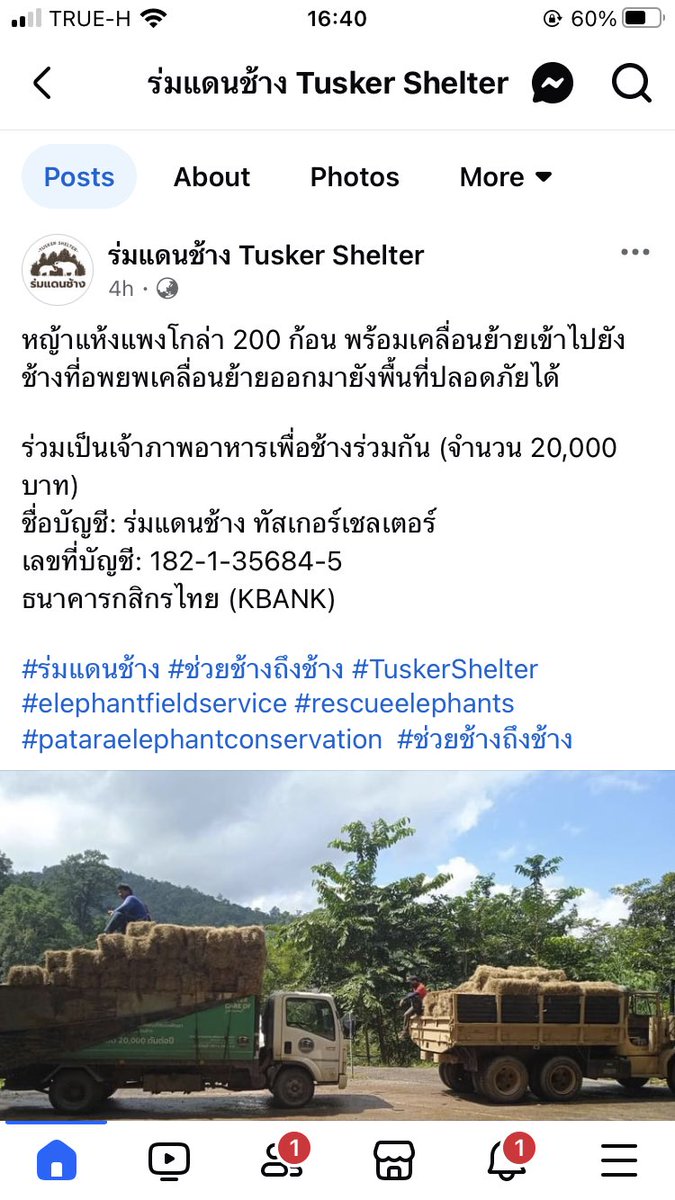 เพิ่มเติม เนื่องจากบัญชีที่แชร์ก่อนหน้าเป็นบัญชีมูลนิธิ ใครอยากบริจาคให้ควาญช้างที่เข้าไปช่วยเหลือโดยตรง สามารถโอนตามช่องทางนี้ได้ค่ะ

#น้ําท่วมเชียงใหม่