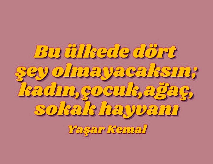1mesajdan's tweet photo. tek cümle ;

#hassasiçerik #ikbaluzuner https://t.co/Lsflyoe2tz
