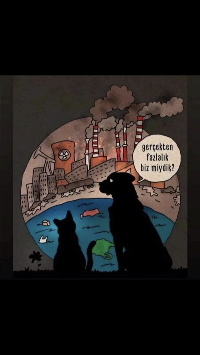 Emine Söyüt (@emineeminesoyut) on Twitter photo 