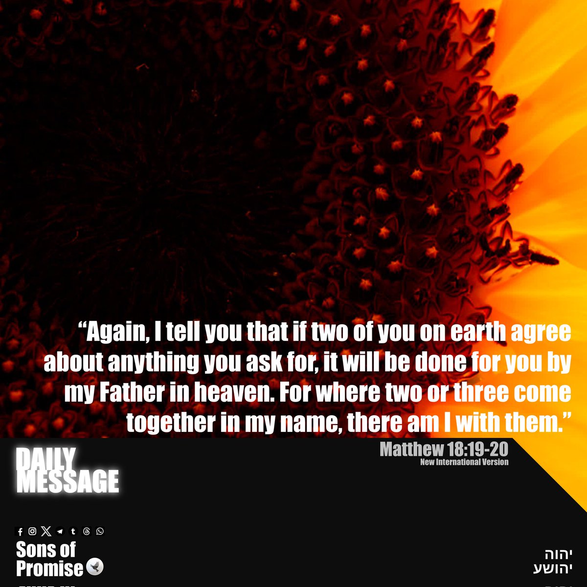 promiseFPUS's tweet photo. Matthew 18:19-20

#YAHUAH #YAHUSHA #Shalom #God #Jesus #Christ #HolySpirit #Gospel #SonsofPromise #Bible https://t.co/25GPHicbSh