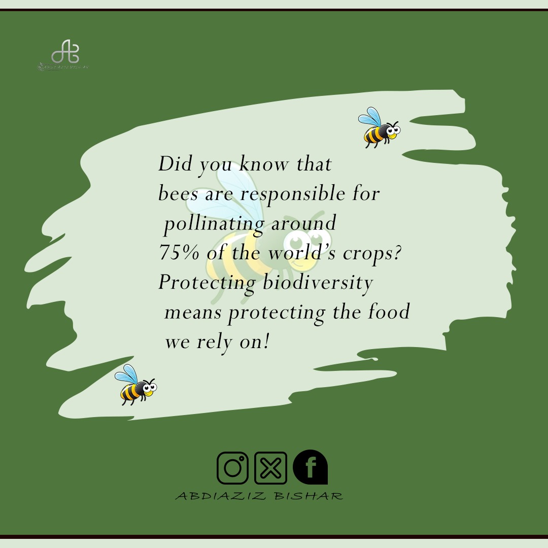 Did you know that bees are responsible for pollinating around 75% of the world’s crops? Protecting biodiversity means protecting the food we rely on! 🐝🌸 #Biodiversity #Pollinators"