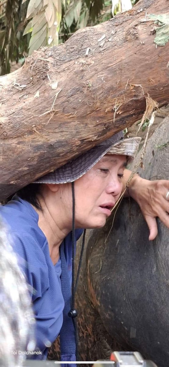 Lucycrew7's tweet photo. This woman @lek_chailert fought all his life to save animals today the floods have invaded everything taking lives with it 💔 They have lost all their food and they need cage and bed covers for animals. They are on the ground working tirelessly 💔 please donate or share👇👇🙏💔🙏 https://t.co/mqwqAvZUPA
