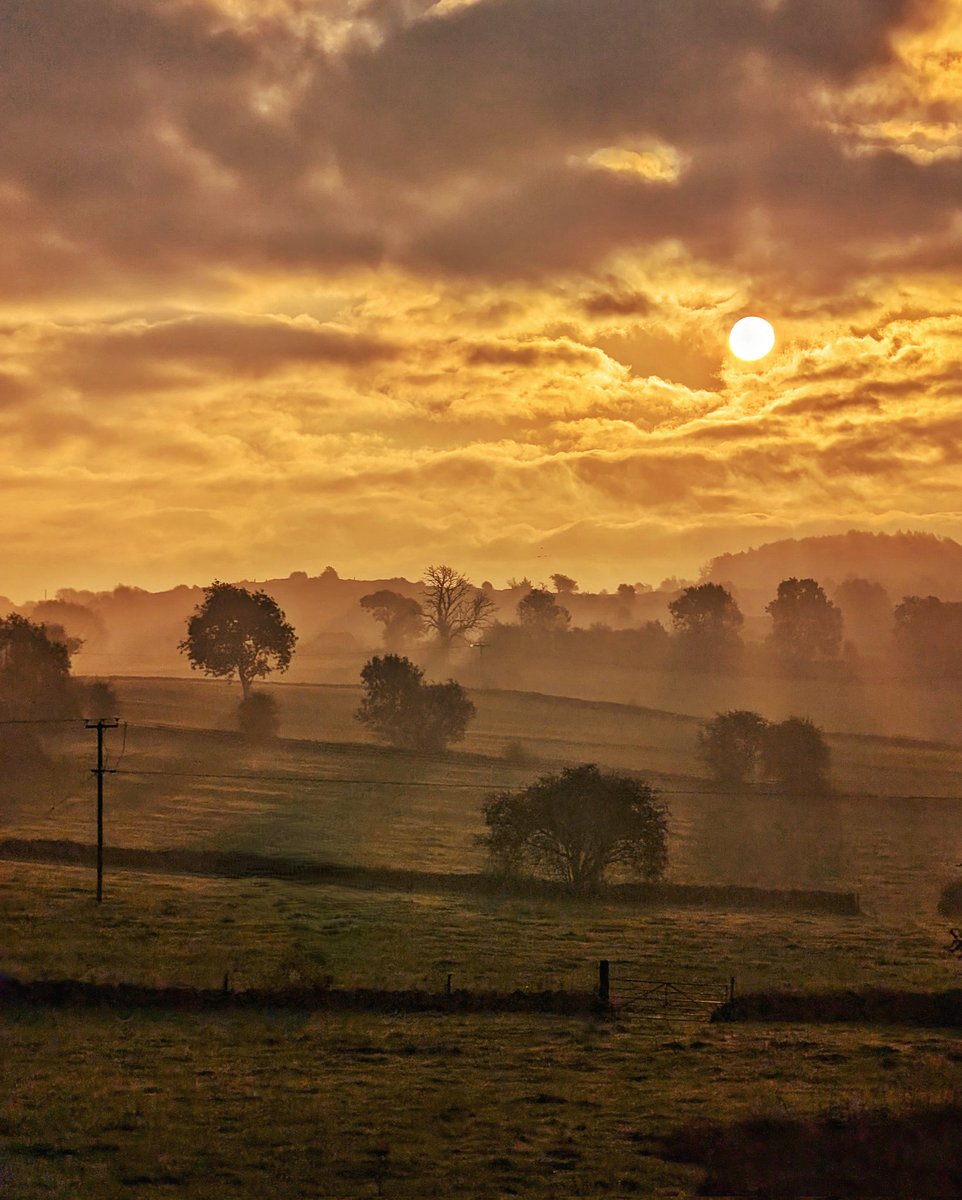 Chris Cookman tweet media