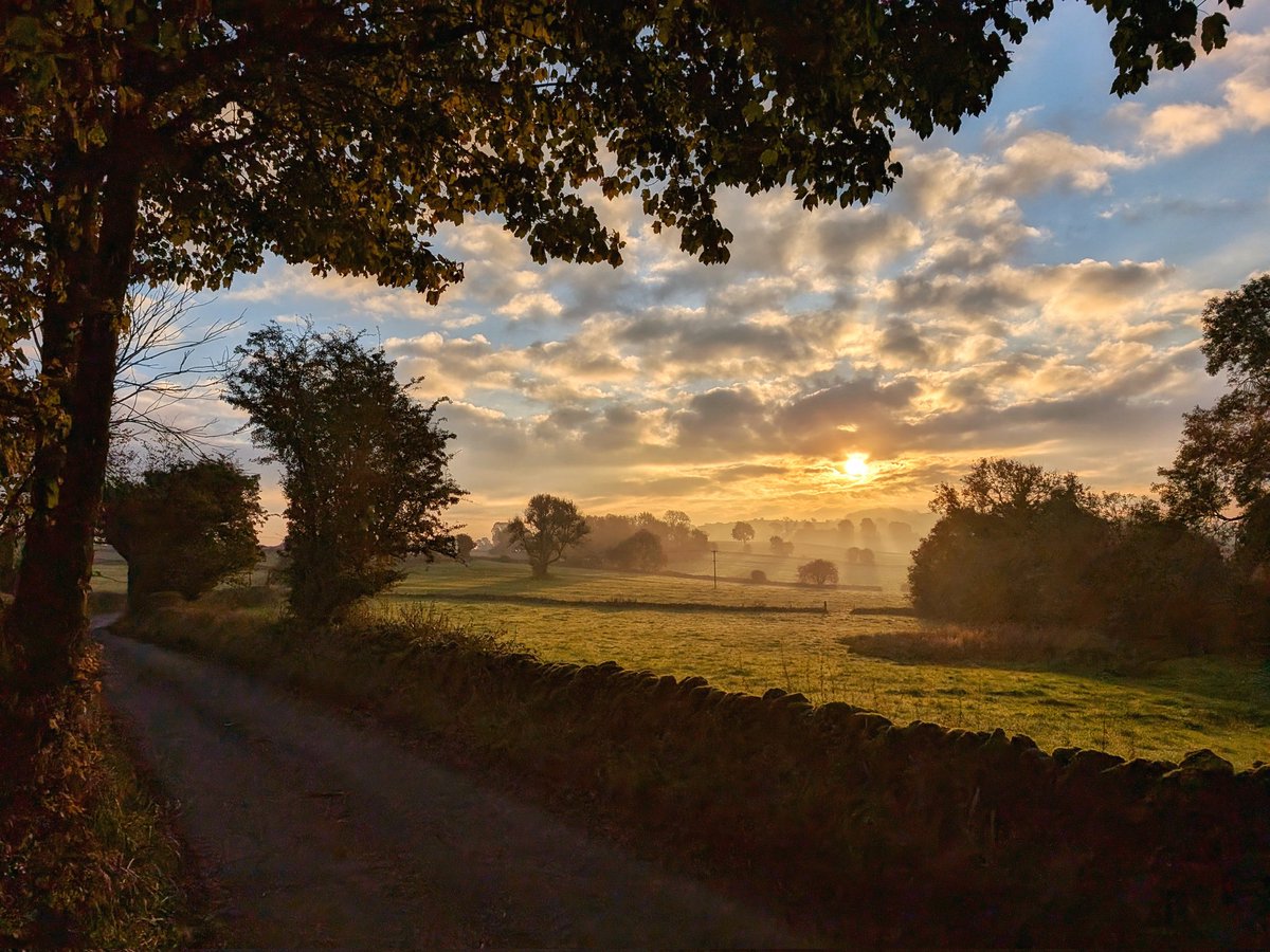 Chris Cookman tweet media