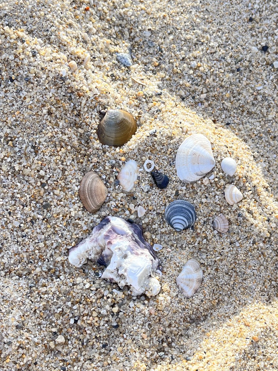 BADVILLAIN tweet media