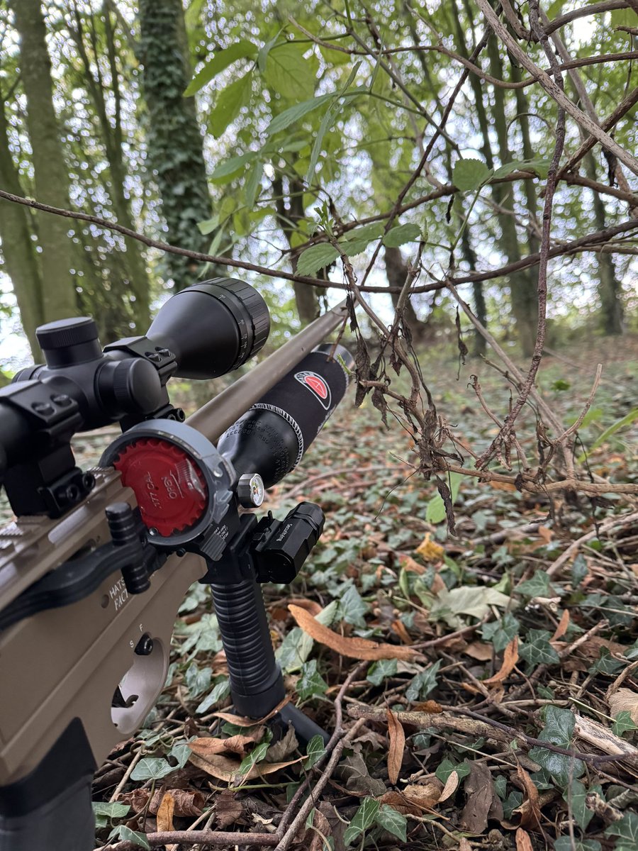 andydillon72's tweet photo. Early outing to the woods this morning https://t.co/DJiffLH6SC
