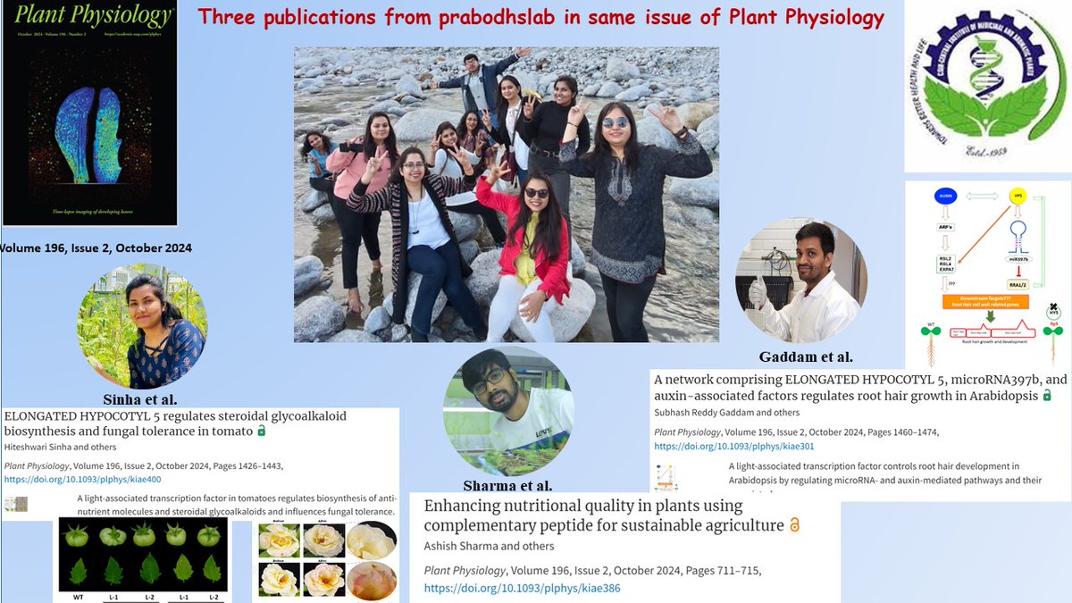 Prabodh Trivedi (@prabodhtrivedi) on Twitter photo Great job, everyone <a href="/prabodhslab/">prabodhslab</a>! Your hard work & team spirit made a difference, and it shows in the latest issue of <a href="/PlantPhys/">Plant Physiology</a> Vol. 196(2) Oct 2024. Amazing: three publications in the same issue. <a href="/CSIRCIMAP/">CSIR-CIMAP</a> <a href="/csirnbrilko/">CSIR-NBRI</a> <a href="/CSIR_IND/">CSIR, India</a> <a href="/AshishS96324887/">Ashish Sharma</a> <a href="/HiteshwariSinha/">Hiteshwari Sinha</a> <a href="/Subhash1731/">Subash</a> Great job, everyone <a href="/prabodhslab/">prabodhslab</a>! Your hard work & team spirit made a difference, and it shows in the latest issue of <a href="/PlantPhys/">Plant Physiology</a> Vol. 196(2) Oct 2024. Amazing: three publications in the same issue. <a href="/CSIRCIMAP/">CSIR-CIMAP</a> <a href="/csirnbrilko/">CSIR-NBRI</a> <a href="/CSIR_IND/">CSIR, India</a> <a href="/AshishS96324887/">Ashish Sharma</a> <a href="/HiteshwariSinha/">Hiteshwari Sinha</a> <a href="/Subhash1731/">Subash</a>