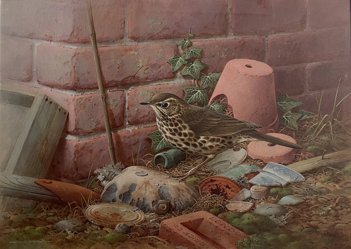 LoeBooks1's tweet photo. Latest Newsletter  LoeArt: view new listings for sale here https://t.co/a6NLfB53hI 
#art #birding #artworks https://t.co/X0vn1w3l6C