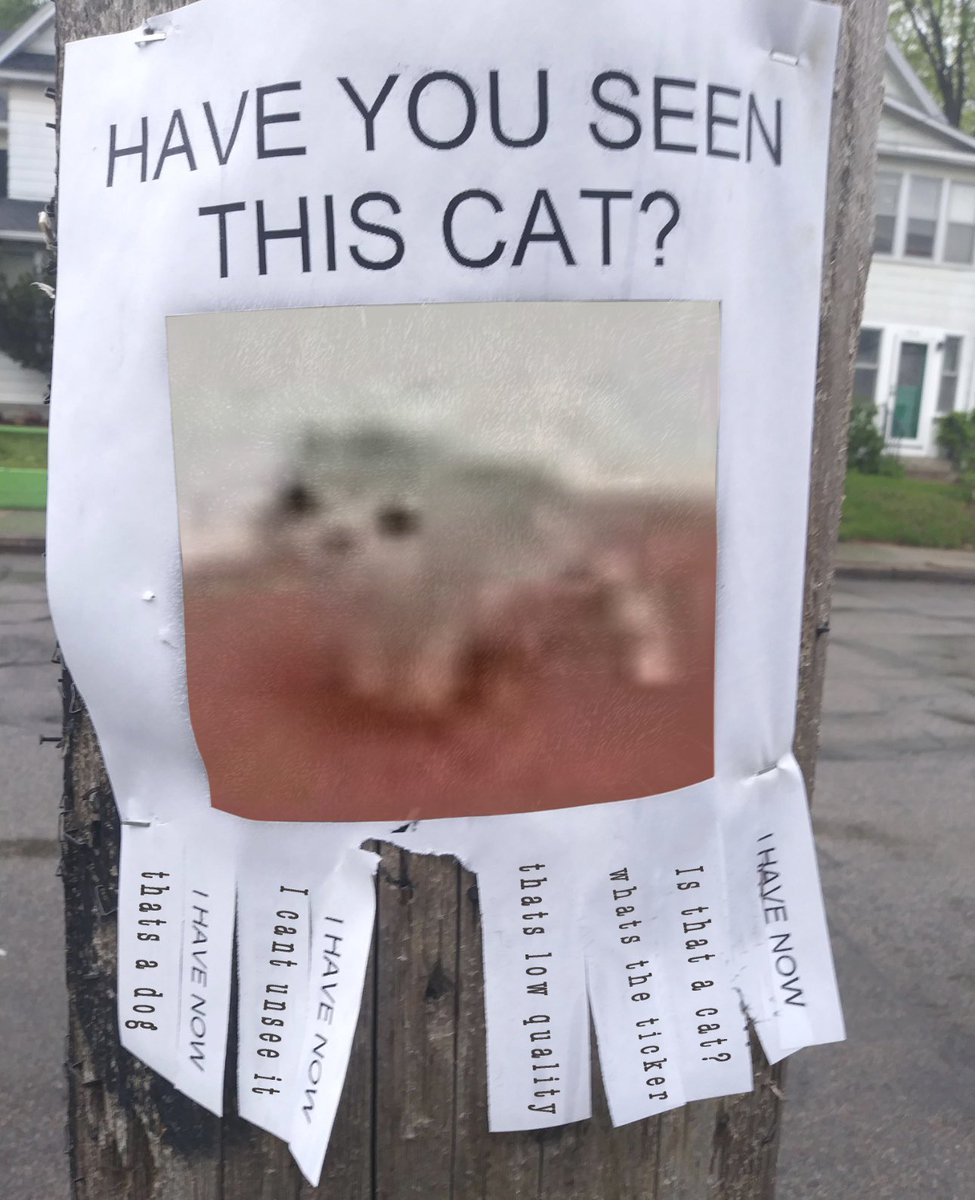 <a href="/jvaron31/">JYV</a> They are too busy accumulating cat coins like <a href="/Lowqltcat/">Low Quality Cat</a> that’s why