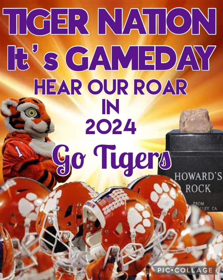 TOMGOLFS3's tweet photo. @cutigerbelle GOOOO TIGERS!!! ❤️ 🐅 https://t.co/HtQjQx1LDZ