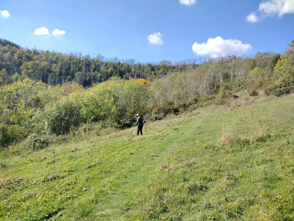 Debbie1Alston's tweet photo. Out with the South Downs Voluntary Ranger Service team today at Butts Meadow @sdnpa joining forces with the local volunteer team from #ChangingChalk to start the autumn/winter scrub management on the chalk grassland https://t.co/OadqcZprLV