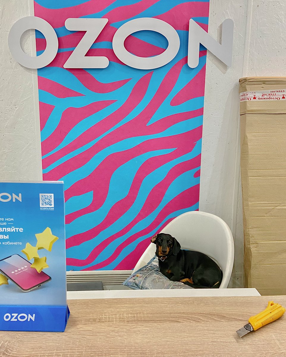 перекати-тело tweet media