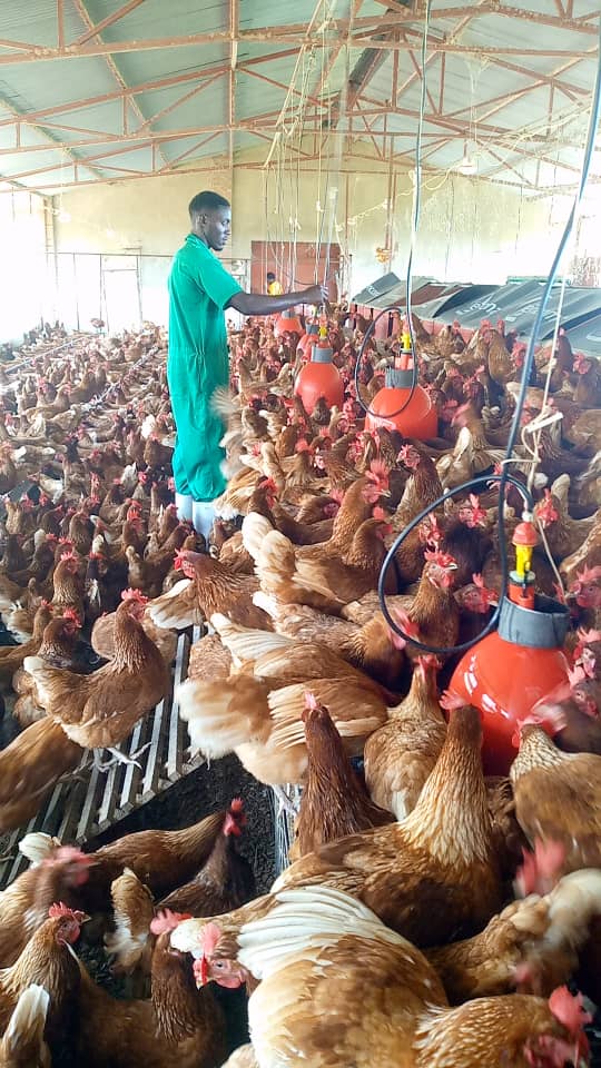 Gil_Niyonkuru's tweet photo. "Farmers are a backbone of the Without their hardwork, no nation can thrive "

#NoFarmNoFood #FarmforFuture
#AgriInfluencerRw https://t.co/xLBgjbKuQL