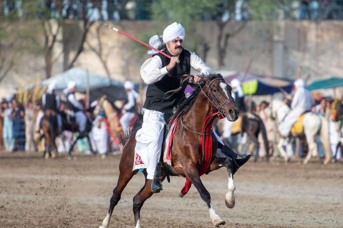 وہ فرار بھی ہوسکتا تھا 
وہ بیمار بھی ہوسکتا تھا
فرار ہوتے دیکھے ہیں
بیمار ہوتے دیکھے ہیں
وہ گرفتار ہوا ہے
عمران کی طرح 
عمران کا امین 
علی امین