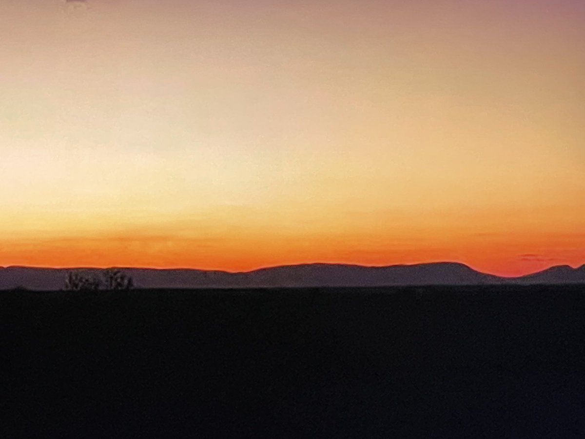 REVOLP's tweet photo. Mabula sunset palette #Wildearth #Mabula https://t.co/CIP2Q71UGT