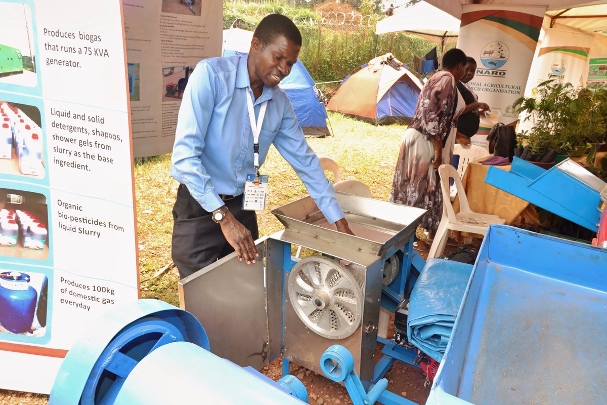 narouganda's tweet photo. NARO at the UMA Trade fair 2024!

Visit our pavilion to see innovative post-harvest handling solutions developed by our Agricultural Engineering and Appropriate Technology Research Centre in Namalere.

Featuring:
✳️Motorized cassava chipper
✳️Motorized forage chopper
✳️Motorized maize sheller

Speak to our engineers and researchers to learn more about the benefits of these technologies and how they can improve your farm's productivity.

@pwatchug 
@MAAIF_Uganda 
@FrankTumwebazek 
@StevensKisaka 
@NARO_DG
@framugas