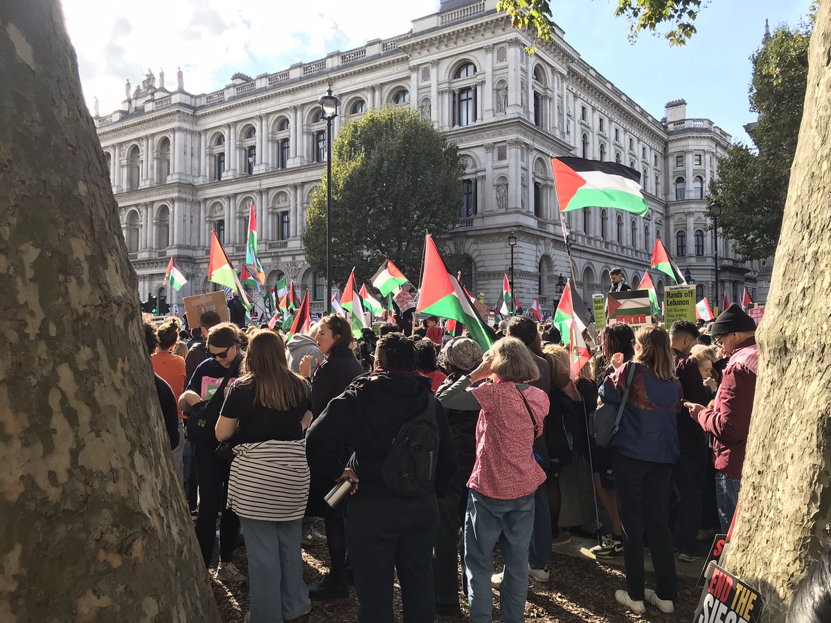 SallyHone25's tweet photo. Massive turn out today 🇵🇸 #StopArmingIsraelNOW https://t.co/4Ts62mMxzC