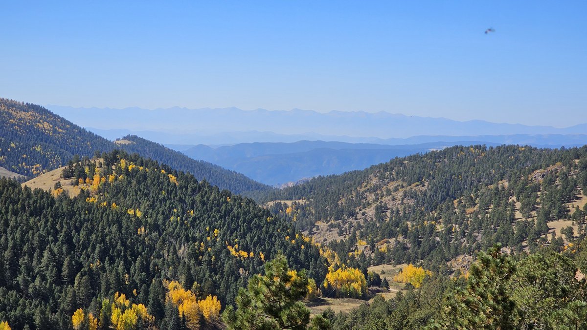CGuntur's tweet photo. Farewell, @dev2next and Colorado! It was a privilege, honor, and pleasure to attend the inaugural in-person dev2next 1.0!

Thank you @venkat_s, @kavithas_, the awesome organizing committee &amp; volunteers, excellent fellow speakers, and above all, the best set of attendees!

#Java https://t.co/ELtiww1okS