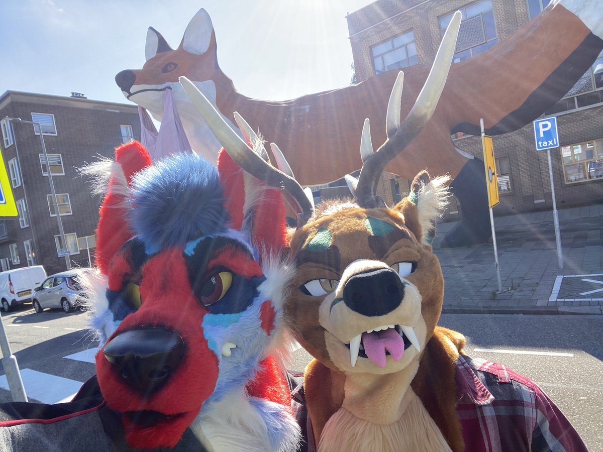 Rotterdam fox, done the furry pilgrimage 
<a href="/Woxplosion/">Wox 🎾</a>