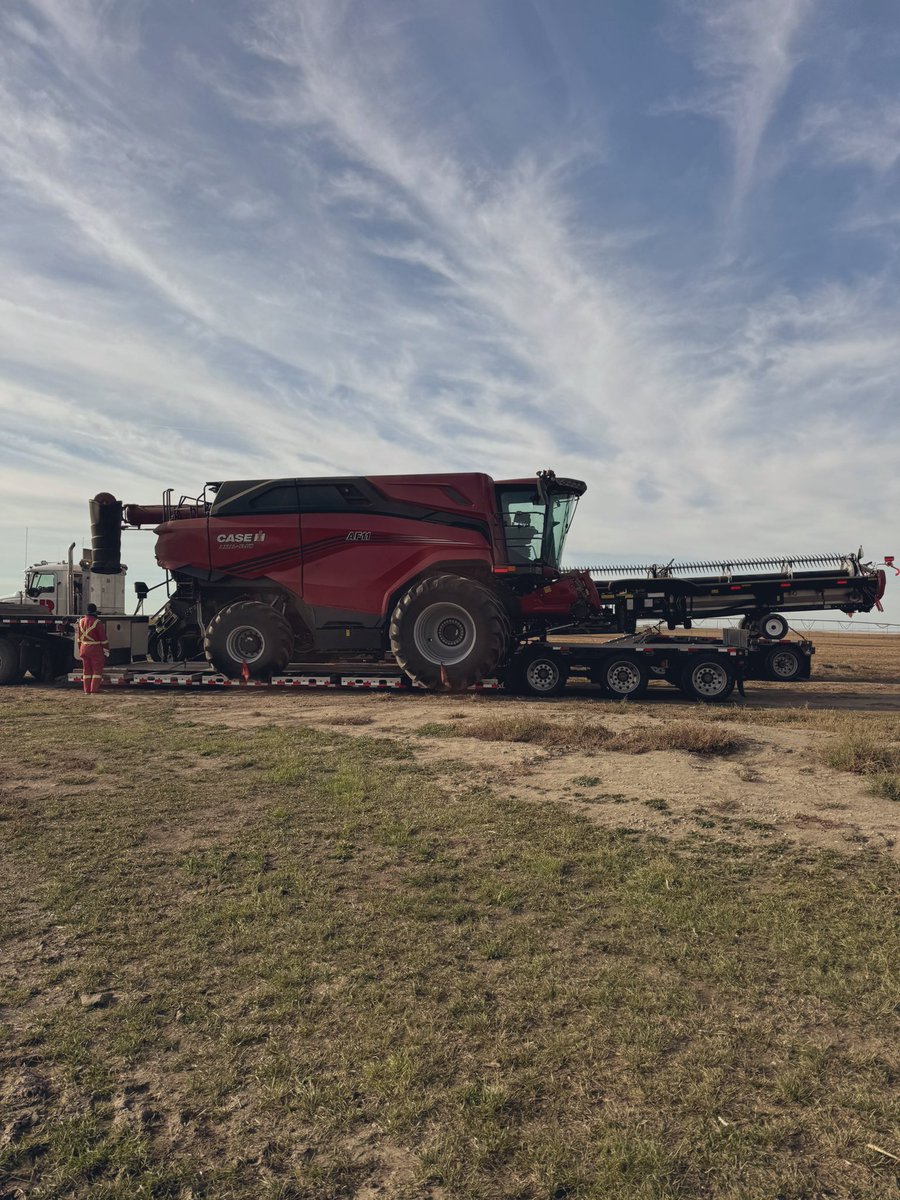 Mike Ector tweet media