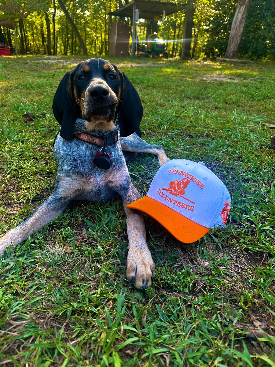 BadDayHatCoTenn's tweet image. GAME DAY GIVEAWAY GAME!!

If the Vols win someone will get to choose 2 of these hats👀 also may be our next drops. 

Rules
1. Must follow @BadDayHatCo 
2. Must repost and like this this post. 
3. The Vols gotta win!