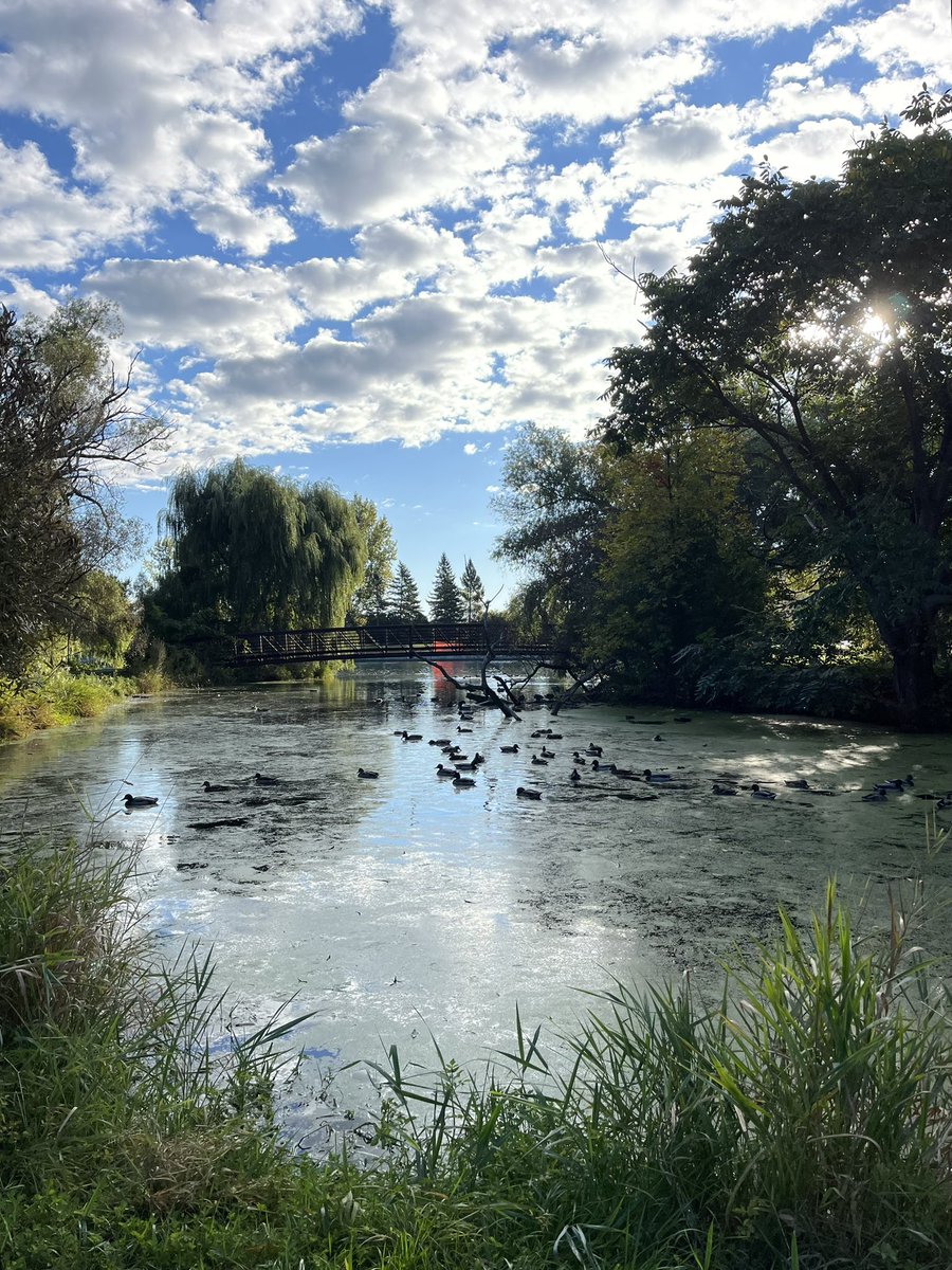 ArbeiterRichard's tweet photo. Canal, Lake &amp; River, 730am, Saturday, October 5, 2024.

🏃🏻‍♂️🏃🏻🏃🏾‍♀️🏃🏽‍♀️🏃🏿‍♂️🏃🏿

#Ottawa 
#Photography 📷
#WeekendLongRun https://t.co/Vue4YtOteQ
