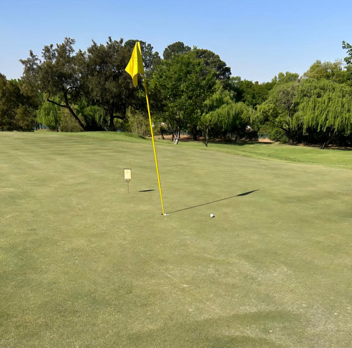AK_MediaMan's tweet image. Closest I&apos;ve come to a #HoleInOne #RandPark #FireThorn #15th