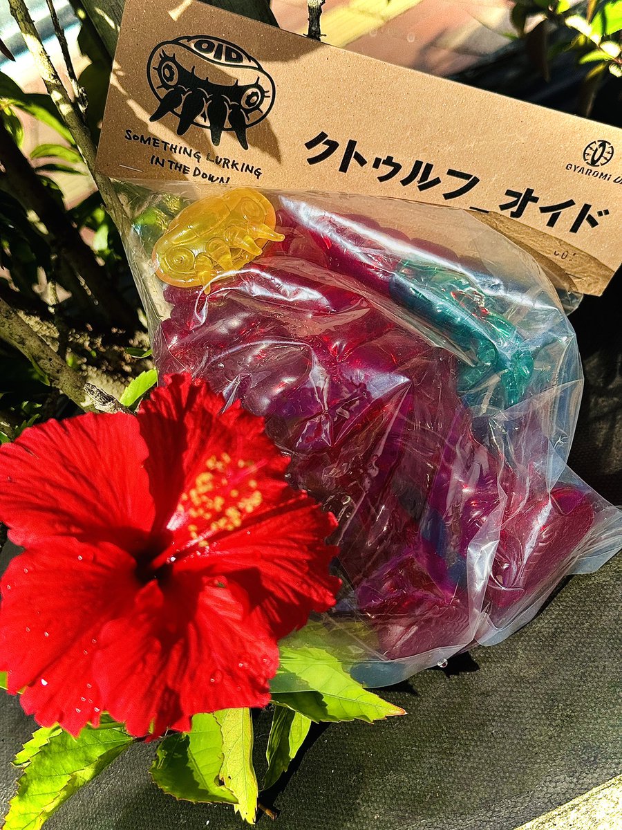 upfield_'s tweet photo. #gyaromi
#ギャロミ
#sofubi
#sofvi
#ソフビ
#ソフビキャンプ
#ソフビランタン
#CAMP
#キャンプ
#アウトドア
#upfield
#大人の遊び
#自然と遊ぶ
#沖縄
#ハイビスカス https://t.co/ONv0ZFPIzY