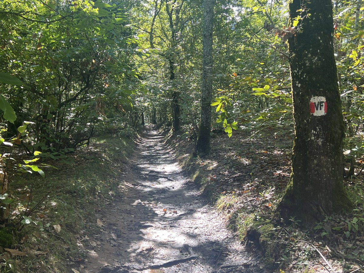 Glenn Mitchell tweet media