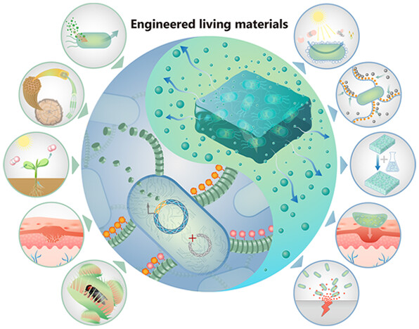 ACS Synthetic Bio (@acssynbio) on Twitter photo Did you miss our #WeekendReading suggestions?
Well make sure you've seen this fascinating Review in #ChemRevs, written by Topic Editor Prof. Chao Zhong and colleagues:
Engineered Living Materials For Sustainability ➡️ go.acs.org/b7R
<a href="/MacroJrnls_ACS/">ACS Macro Journals</a>, take a look 👀 Did you miss our #WeekendReading suggestions?
Well make sure you've seen this fascinating Review in #ChemRevs, written by Topic Editor Prof. Chao Zhong and colleagues:
Engineered Living Materials For Sustainability ➡️ go.acs.org/b7R
<a href="/MacroJrnls_ACS/">ACS Macro Journals</a>, take a look 👀