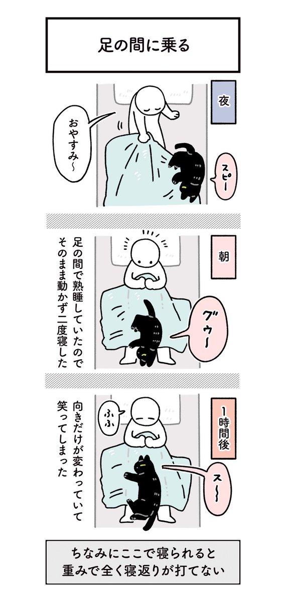 すごく自由な感じでかいぬしと寝てるねこの絵日記 (1/2) 